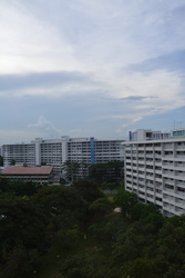Blk 552 Bedok North Avenue 1 (Bedok), HDB 5 Rooms #203568801